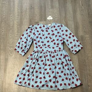 Ladybug Print Dress